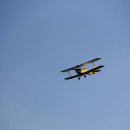 IMG_5916.jpg