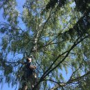 Seglerrettung 2017