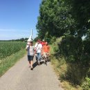 Seglerrettung 2017