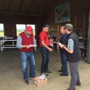 IFM Vereinsmeisterschaft 2017